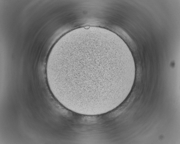 X0000116771190201001281626