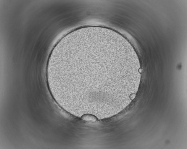 X0000116771191201001281626