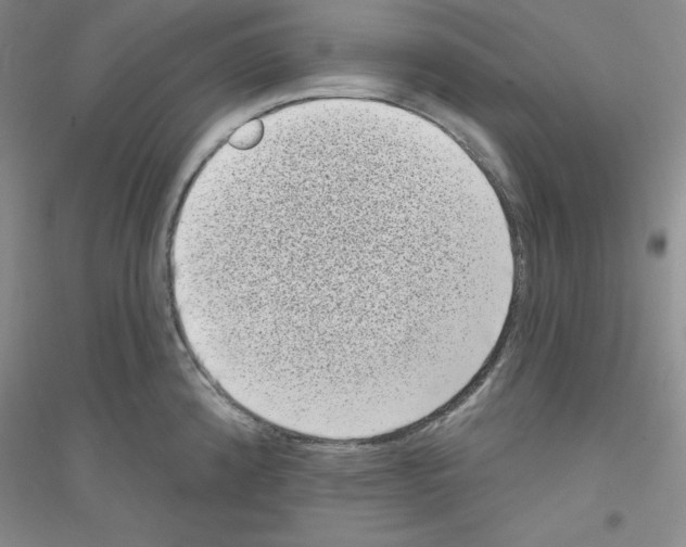 X0000116771192201001281626