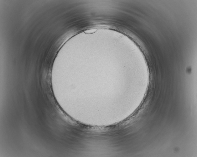 X0000116771193201001281626
