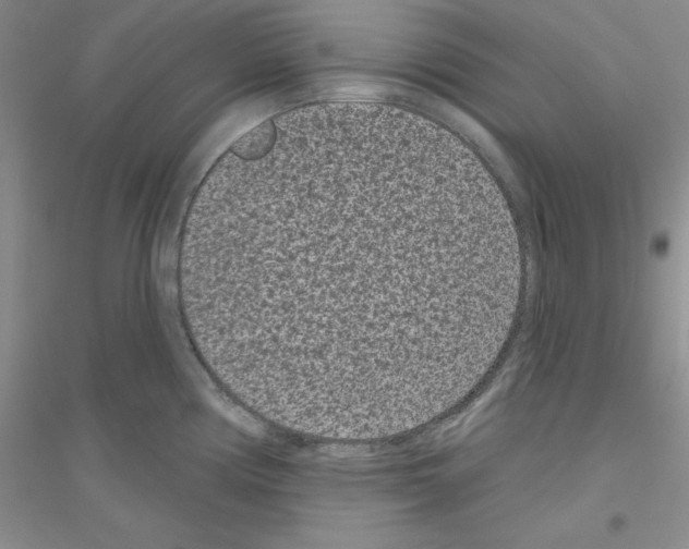 X0000116771194201001281626