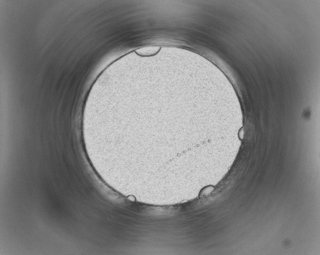 X0000116771195201001281626