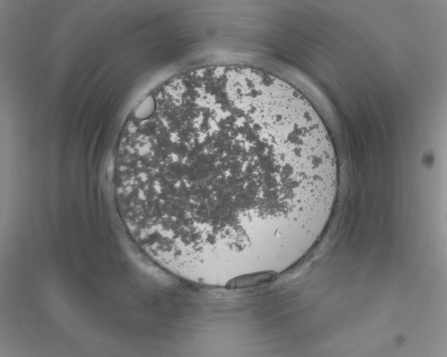 X0000116771198201001281626