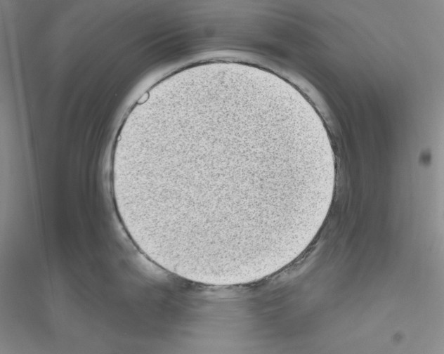 X0000116771199201001281626