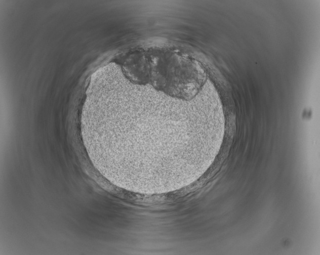 X0000116771201201001281625