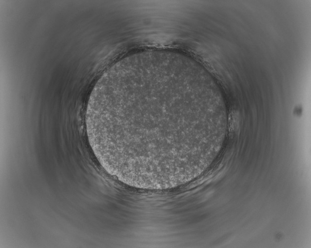 X0000116771202201001281625
