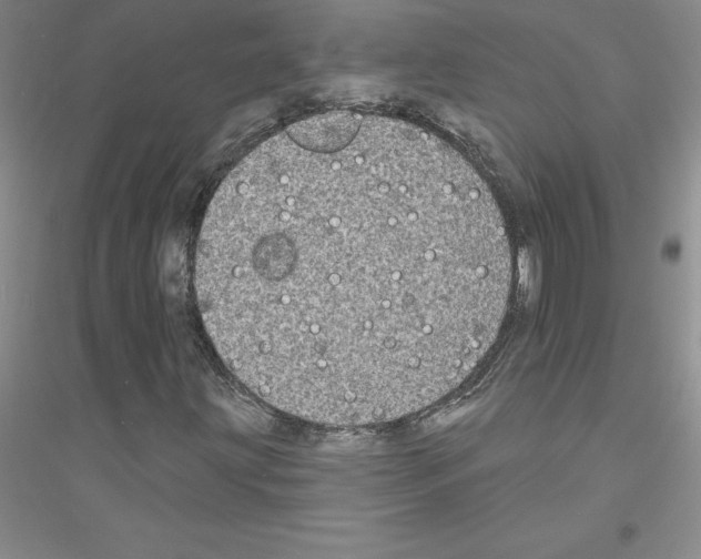 X0000116771203201001281625