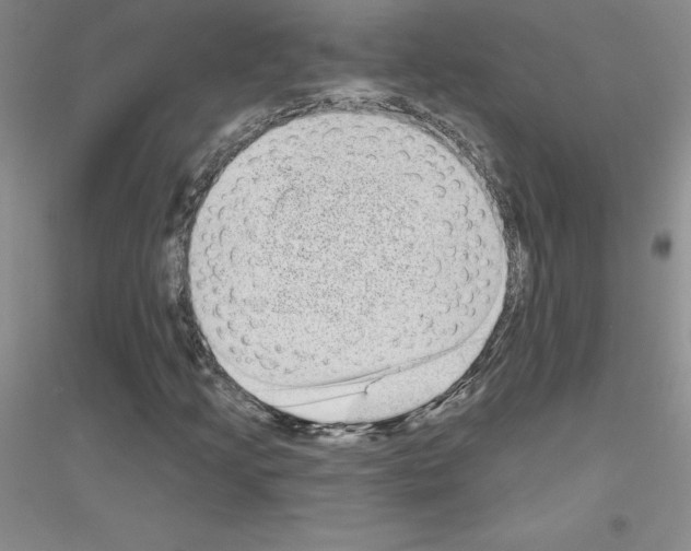 X0000116771205201001281625