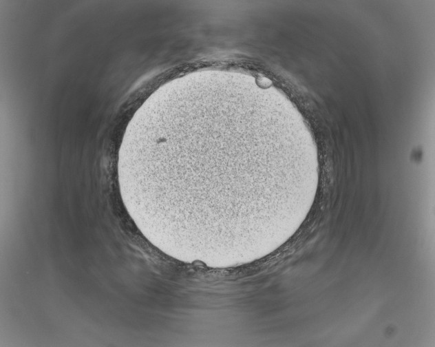 X0000116771206201001281625