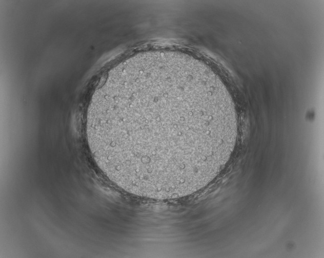X0000116771207201001281625