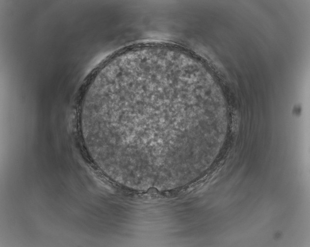X0000116771208201001281625