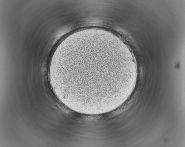 X0000116771210201001281626