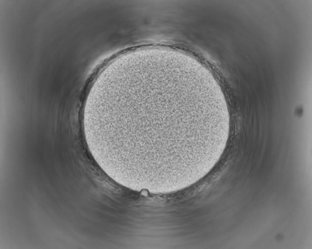 X0000116771214201001281626