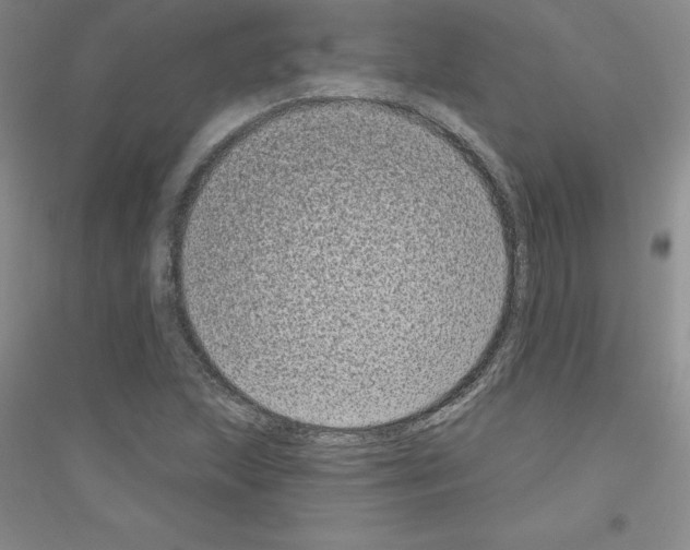 X0000116771215201001281626