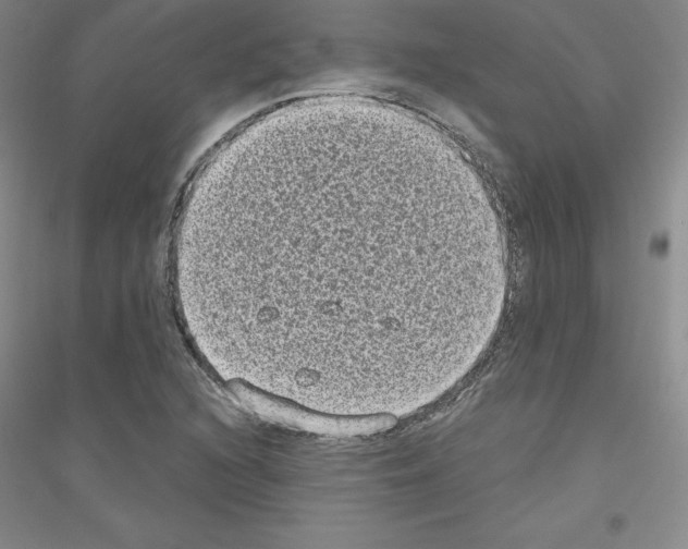 X0000116771216201001281626