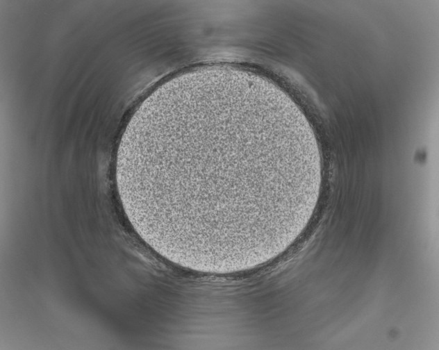 X0000116771217201001281626