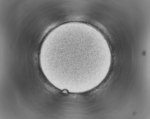 X0000116771218201001281626