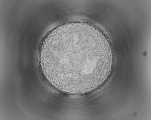 X0000116771219201001281626