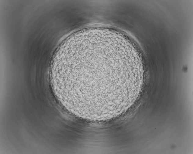 X0000116771220201001281626