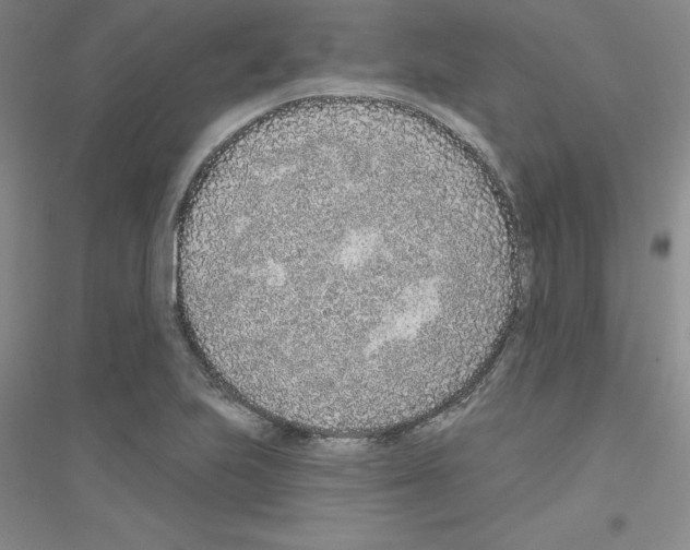 X0000116771223201001281626