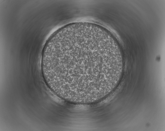 X0000116771224201001281626