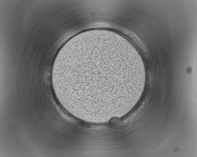 X0000116771225201001281626