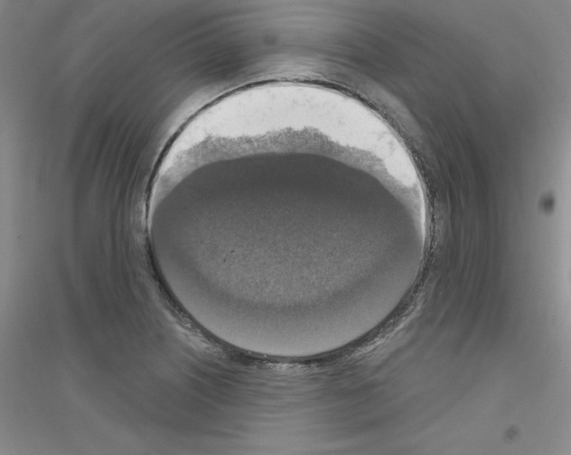 X0000116771226201001281626