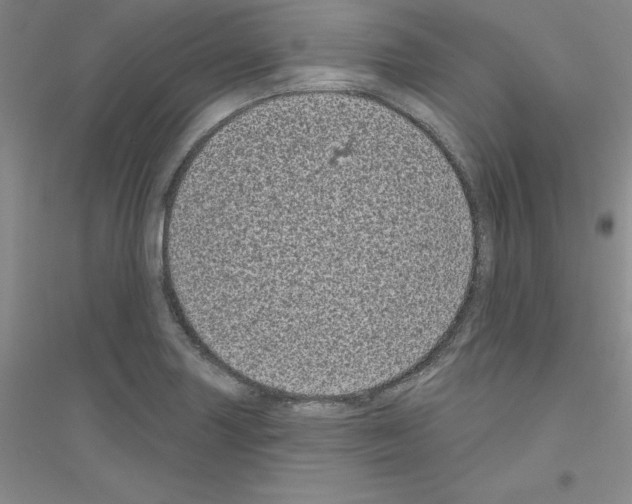 X0000116771227201001281626