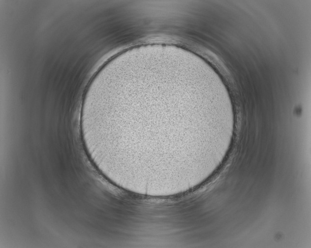 X0000116771228201001281626