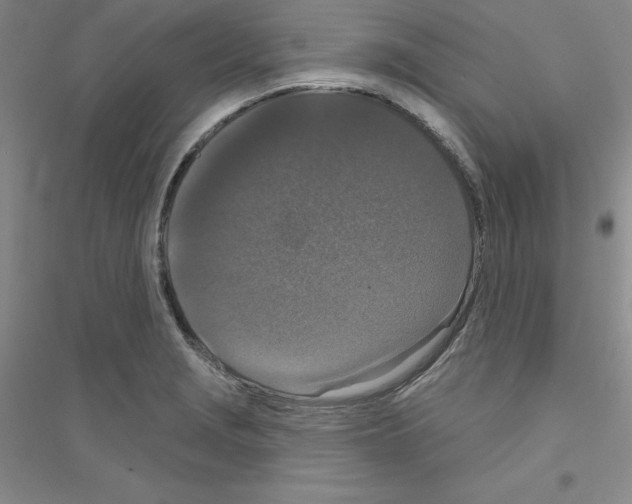 X0000116771229201001281626