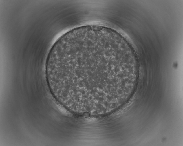 X0000116771230201001281626