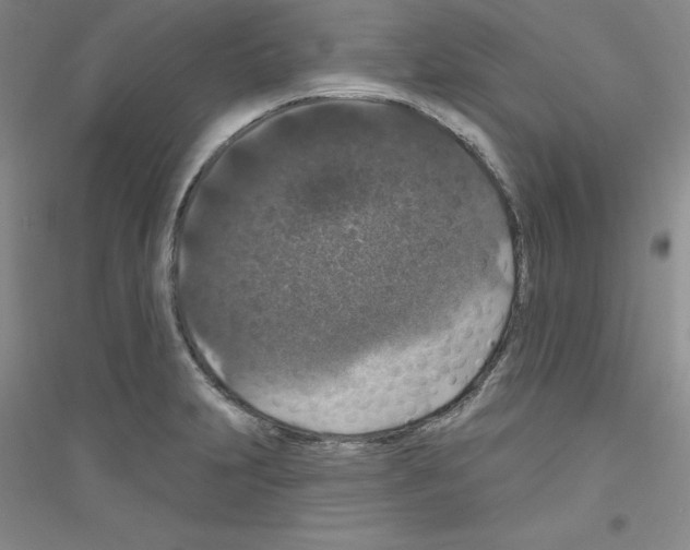 X0000116771231201001281626