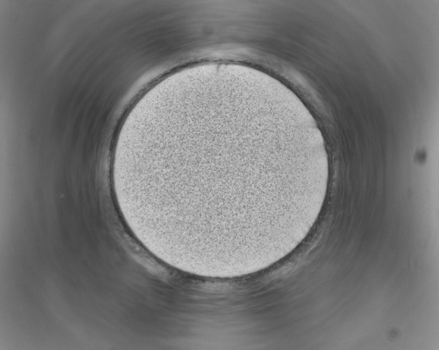 X0000116771232201001281626