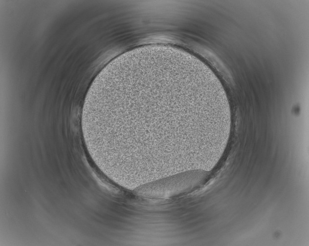 X0000116771233201001281626