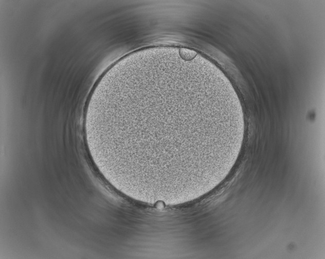X0000116771234201001281626