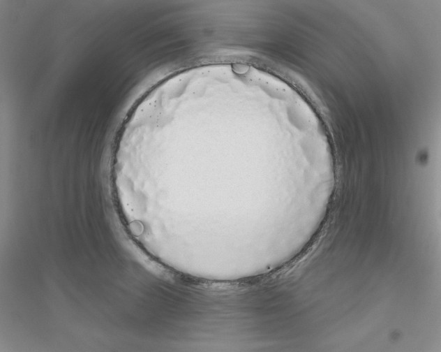 X0000116771235201001281626