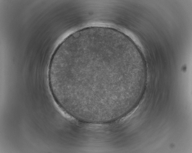 X0000116771237201001281626
