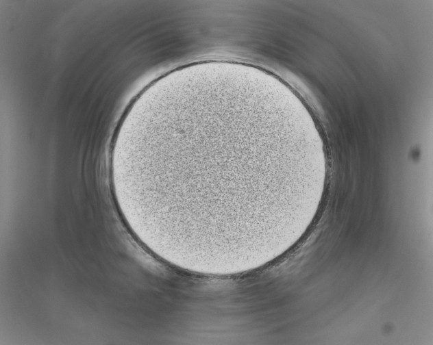 X0000116771238201001281626