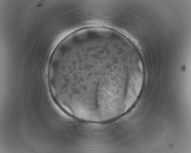 X0000116771239201001281626