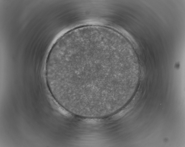 X0000116771240201001281626