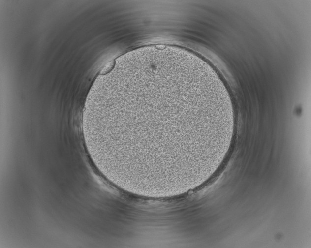 X0000116771241201001281626