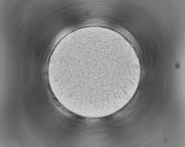 X0000116771242201001281626