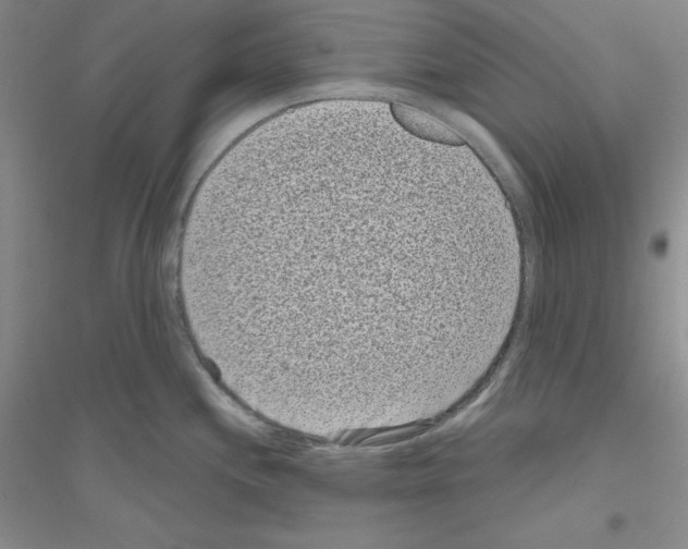 X0000116771244201001281626