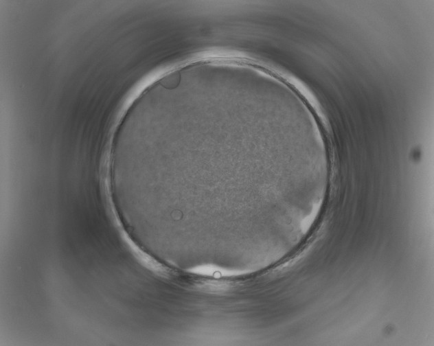 X0000116771245201001281626