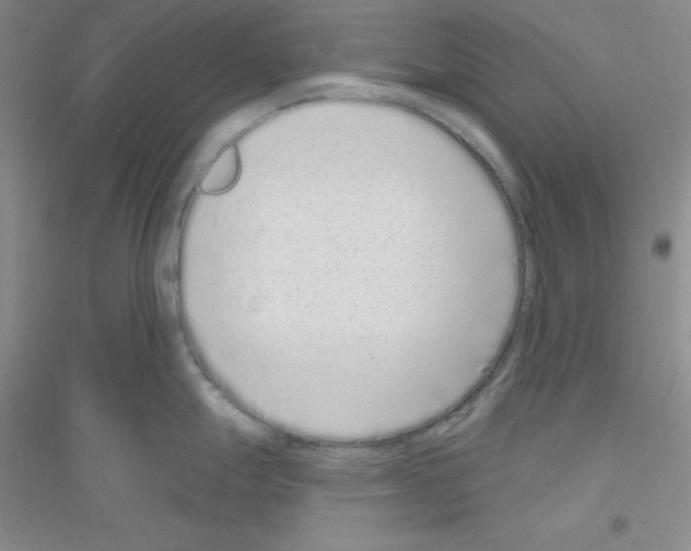 X0000116771247201001281626