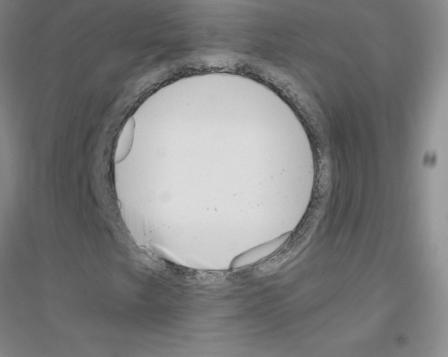 X0000116771249201001281625