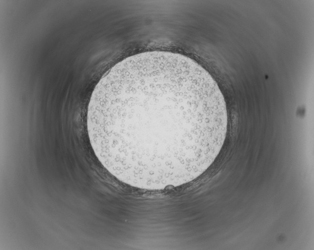 X0000116771250201001281625