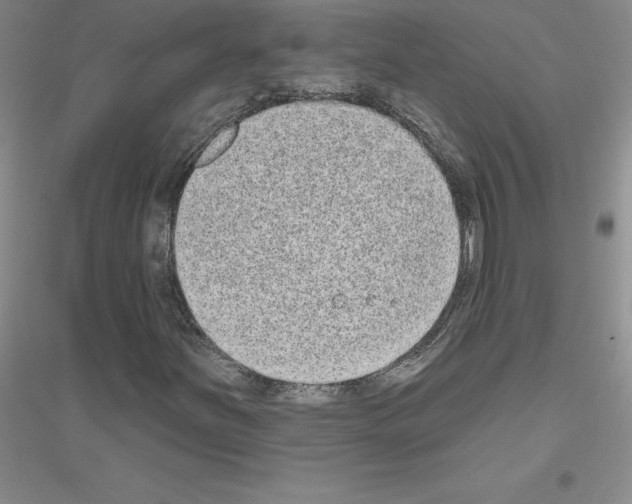 X0000116771251201001281625