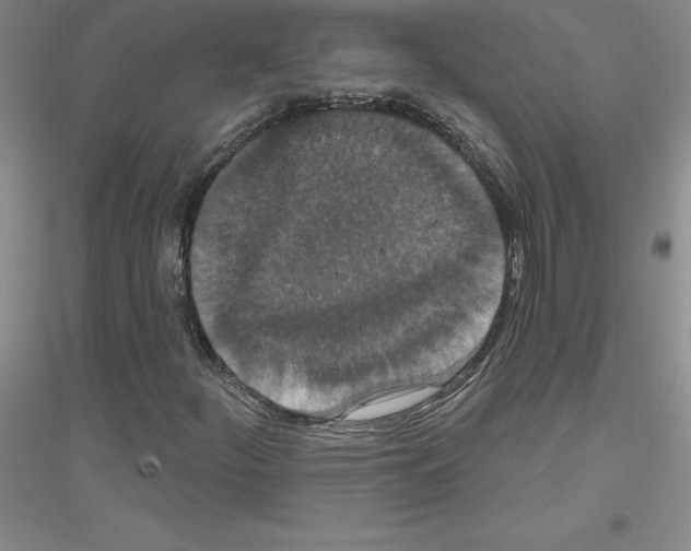 X0000116771252201001281625