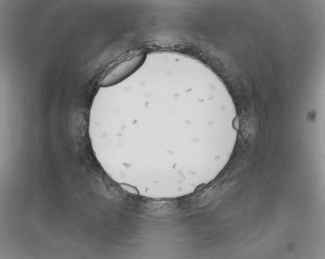 X0000116771253201001281625